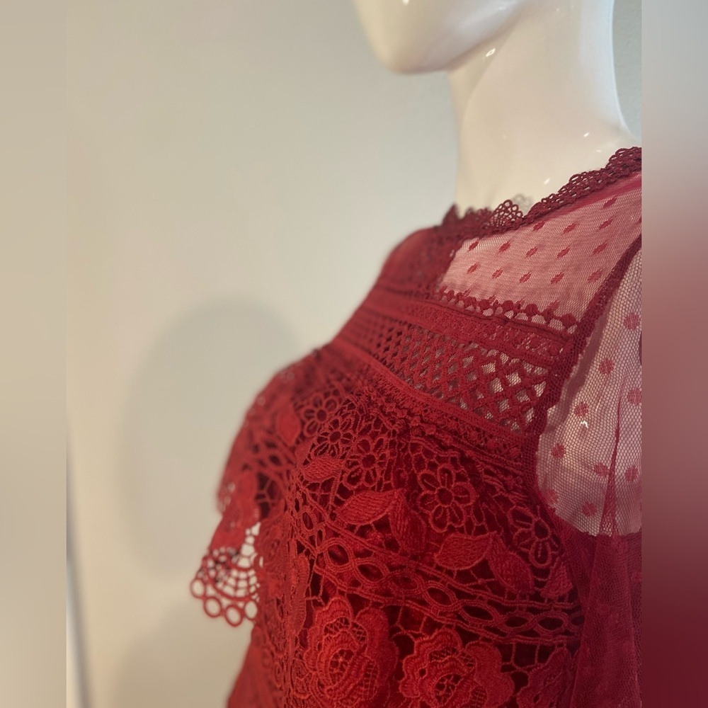 L & F~NWT~Lovely~Tiered Ruffle~Sheer Netting~Embroidered Lace~Mini Dress~Size S - Picture 11 of 15